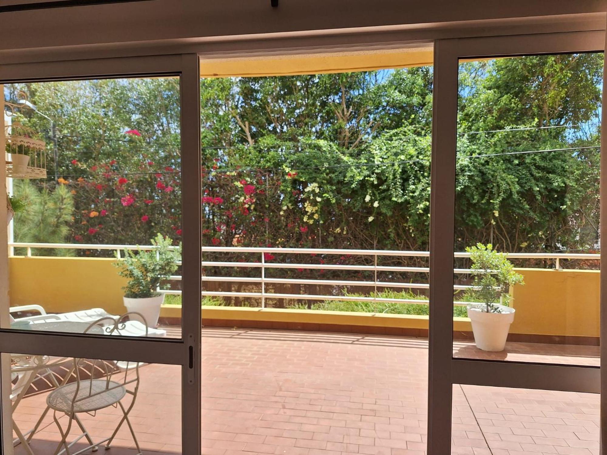 Refugio Madeira Daire Caniço Dış mekan fotoğraf