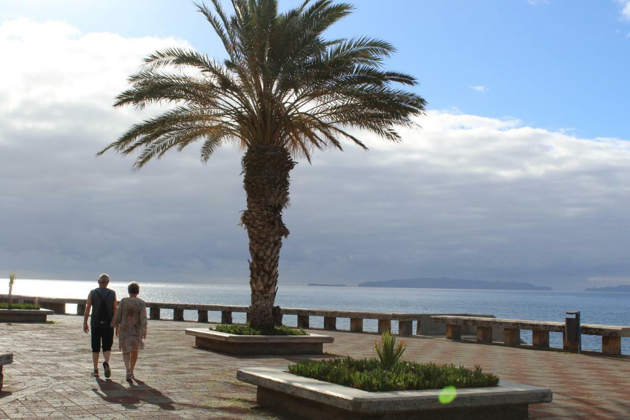Refugio Madeira Daire Caniço Dış mekan fotoğraf